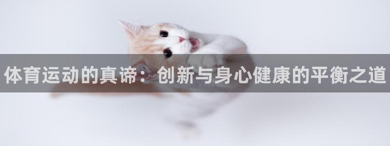 77体育官网