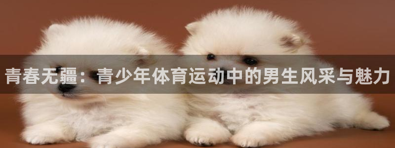 77体育app下载官网