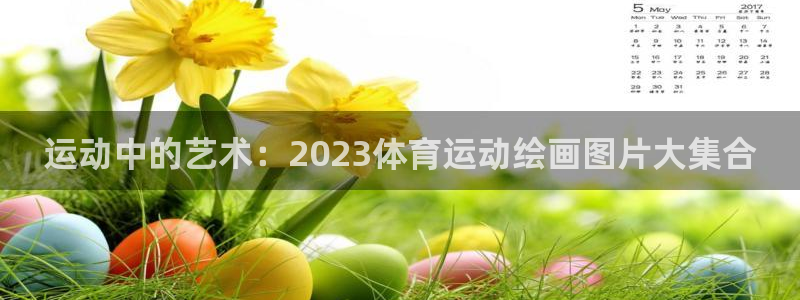 77体育