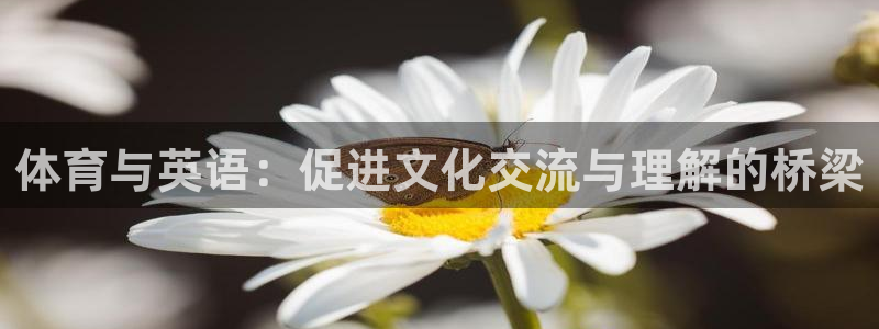 77体育