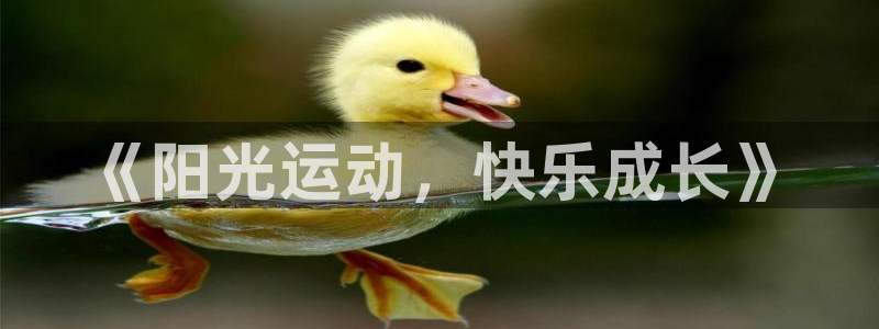 77体育