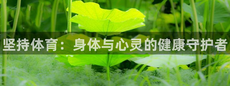 77体育app下载官网