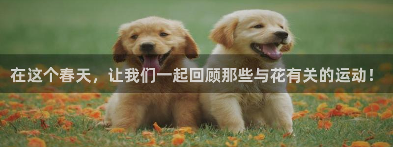 77体育