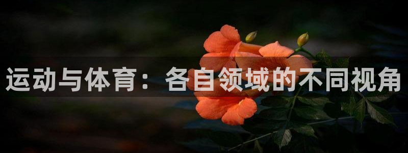 77体育