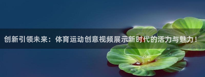 77体育app下载官网