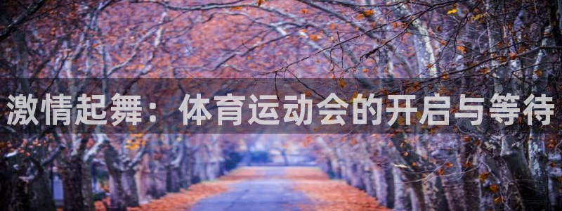 77体育app下载官网