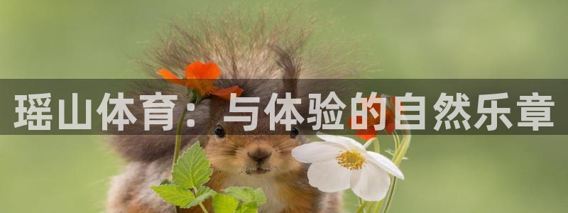 77体育