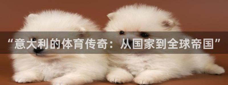 77体育官网