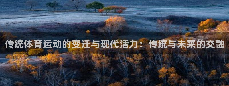 77体育app下载官网