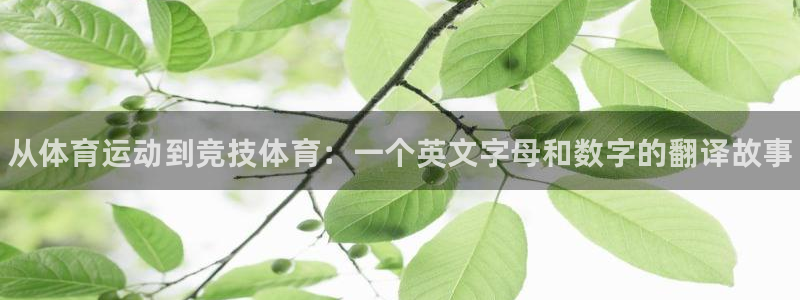 77体育