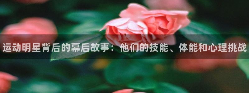 77体育app下载官网