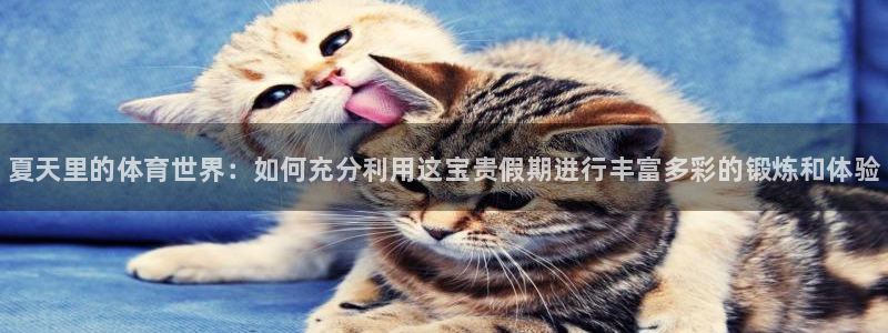 皇冠277体育
