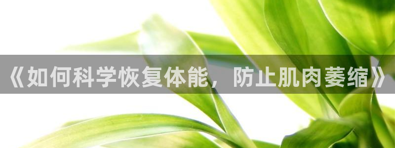 77体育app下载官网