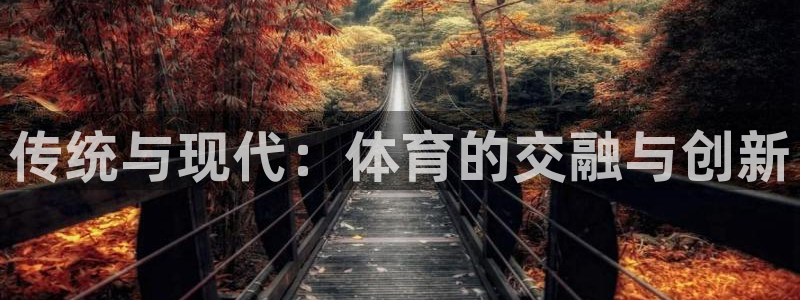 77体育app下载官网