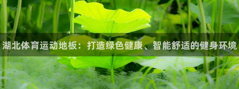 77体育app下载官网