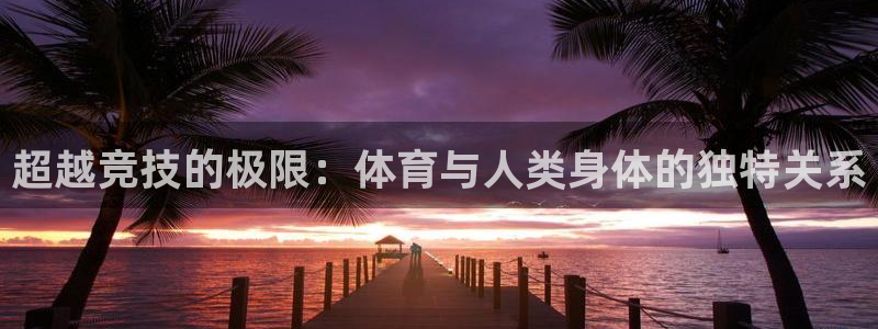 77体育官网