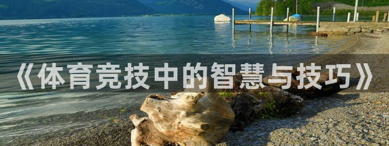 77体育官网