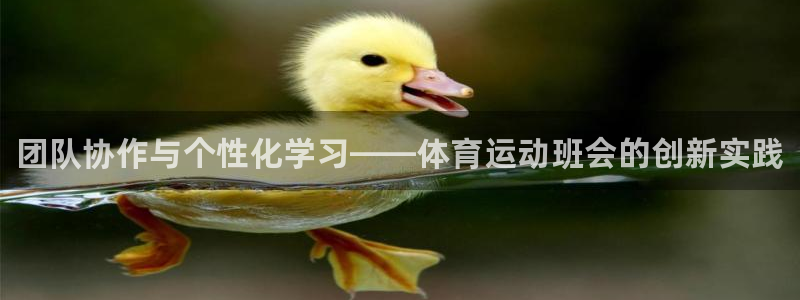 77体育app下载官网