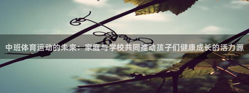 皇冠277体育