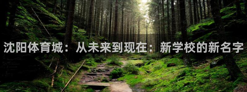 77体育官网