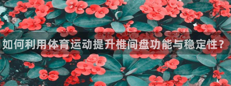 77体育app下载官网