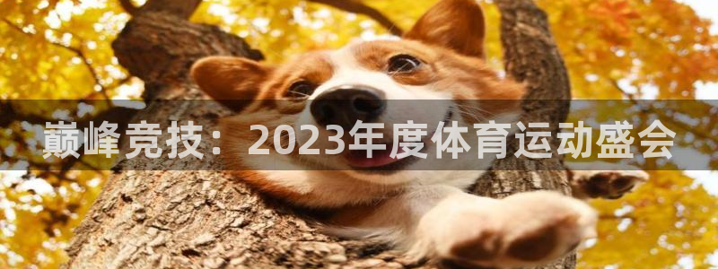 皇冠277体育