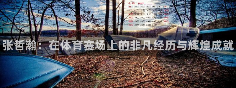 77体育