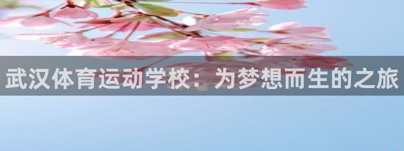 77体育