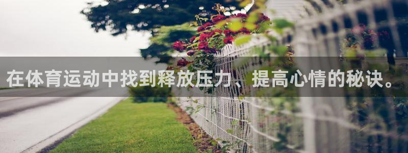 77体育