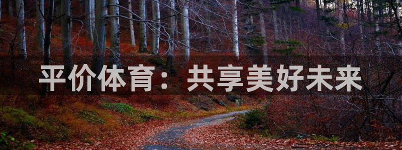 77体育官网