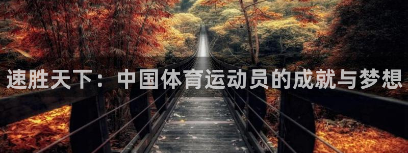 77体育