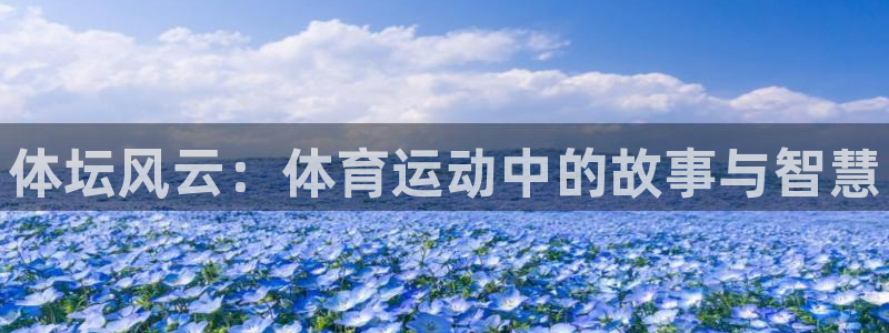 77体育app下载官网