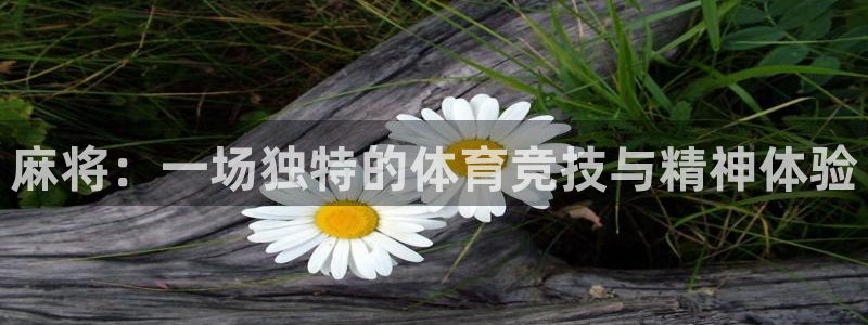 77体育app下载官网