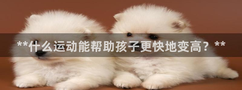 77体育官网