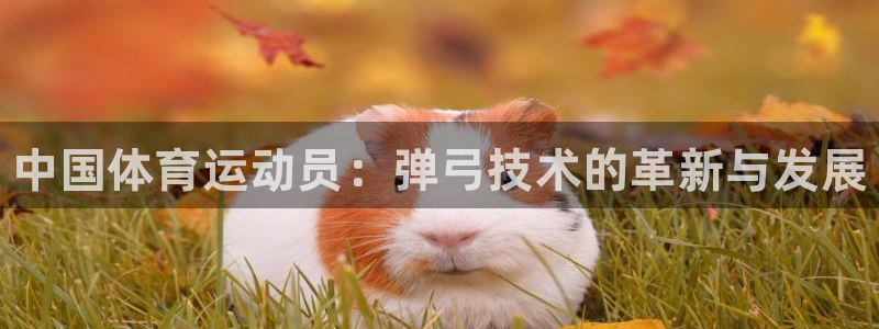 77体育官网