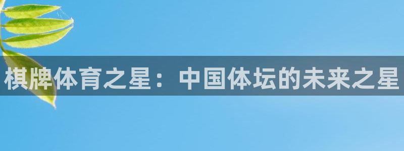 77体育